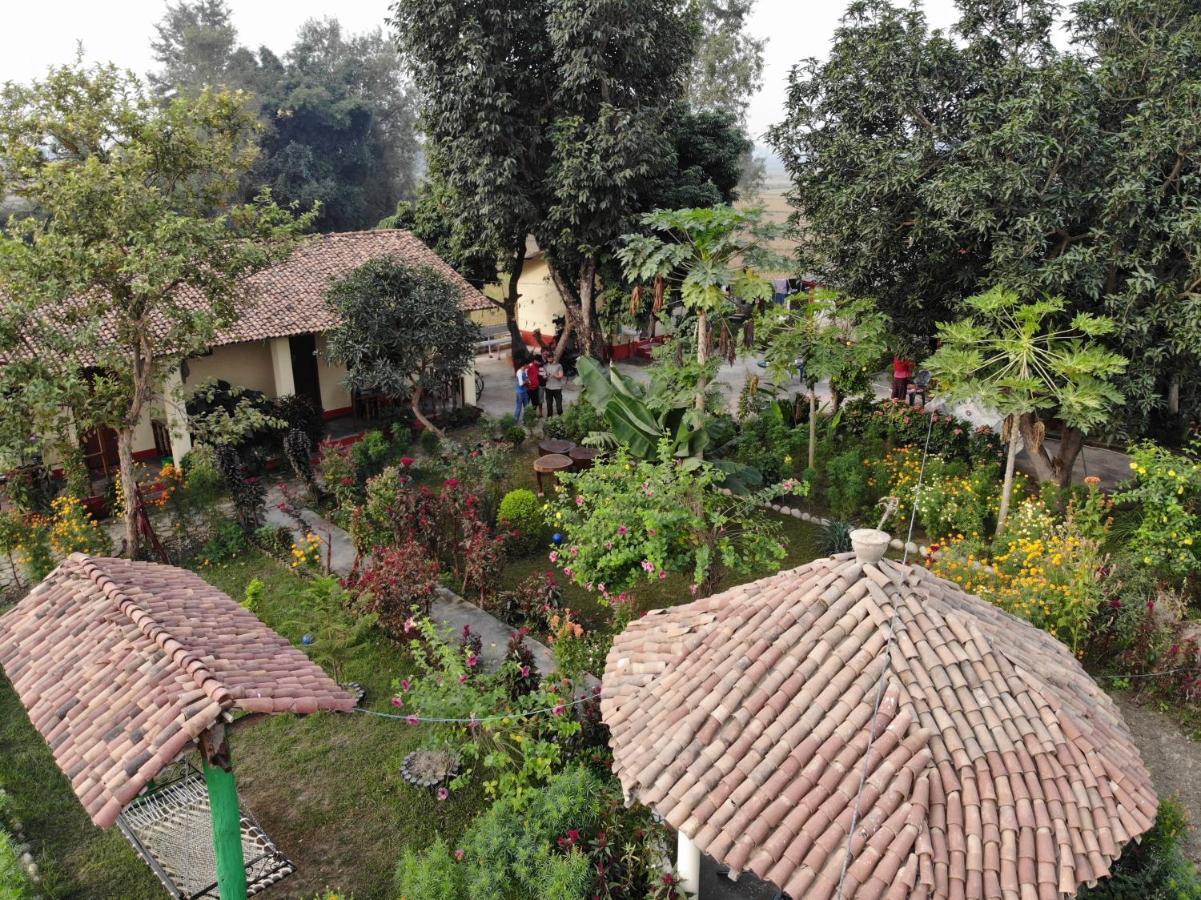 Bardia Eco Friendly Homestay Bardiya Экстерьер фото